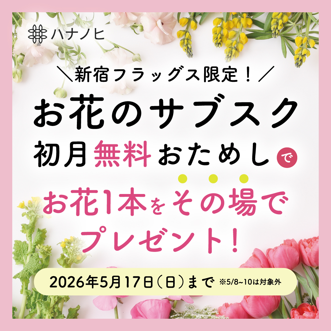 20260417_ハナノヒ_新宿フラッグス_1080x1080 (1)